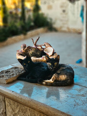 Two stray kittens siblings sleeping together while laying next to a cactus pot