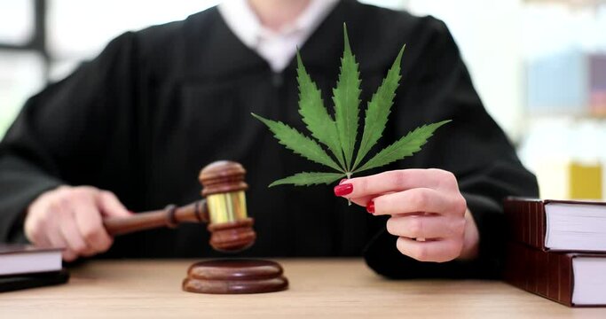 Judge with green leaf of marijuana in hands knocking with gavel in courtroom closeup 4k movie slow motion. Criminal case for possession and sale of drugs concept