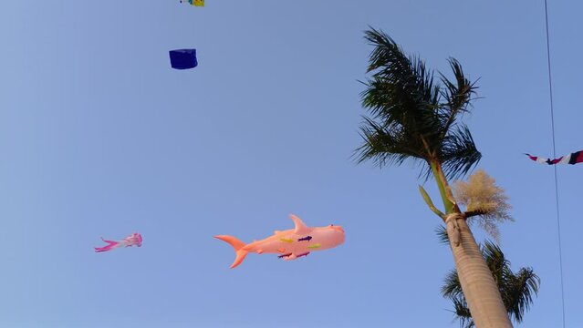 Colorful kites flying in the clear blue sky in sunny summer day at Mekong Delta Vietnam. Happy childhood moments.