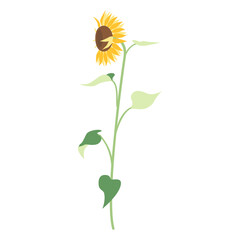 一輪のひまわりのイラスト、アイコン、横向きの向日葵