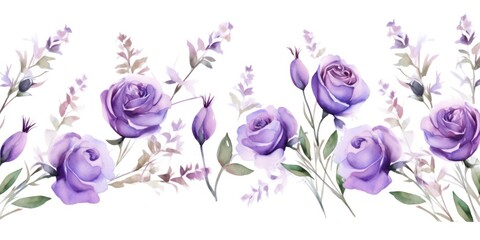 Lavender roses watercolor clipart on white background, defined edges floral flower pattern background with copy space for design text or photo backdrop minimalistic 