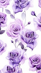 Lavender roses watercolor clipart on white background, defined edges floral flower pattern background with copy space for design text or photo backdrop minimalistic 