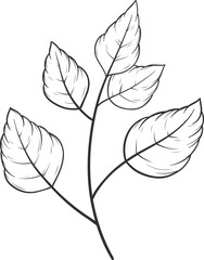 leaf plant outline