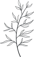 leaf plant outline