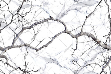 A seamless pattern of white Carrara marble, with delicate grey veins branching out like the limbs of ancient trees. 32k, full ultra HD, high resolution - obrazy, fototapety, plakaty