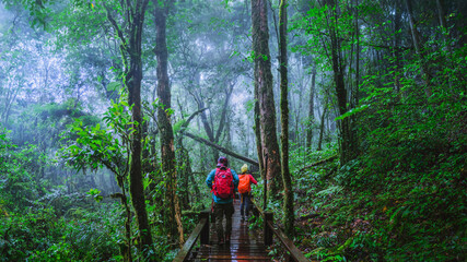 Lover asian man and asian women travel nature. Nature Study in the rain forest at Chiangmai in Thailand.