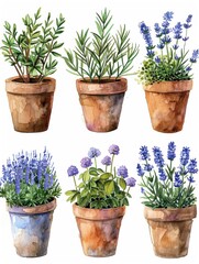 A set of six potted plants with different flowers and herbs. The plants are arranged in a row and are of various sizes. The pots are brown and have a rustic feel to them