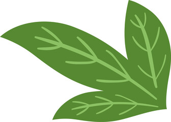 Green color leaf vector logo