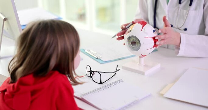 The child looks at the anatomical model of the eye, close-up. The child is an optometrist, a visit