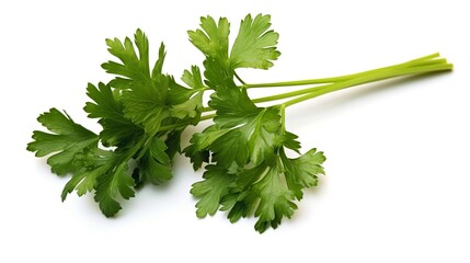 Parsley herb leaves isolated on white background cutout. Healthy food.