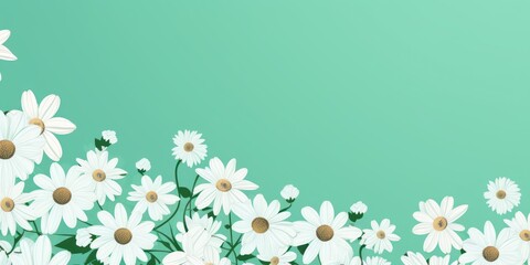 Mint Green and white daisy pattern, hand draw, simple line, flower floral spring summer background design with copy space for text or photo backdrop 