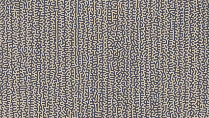 Reaction Diffusion Texture Turing Graphic Pattern Vector Wide Grey Abstract Background. Psychedelic Intricate Lines Complex Structure Panoramic Wallpaper. Crazy Weird Abstraction Art Illustration - 778955581