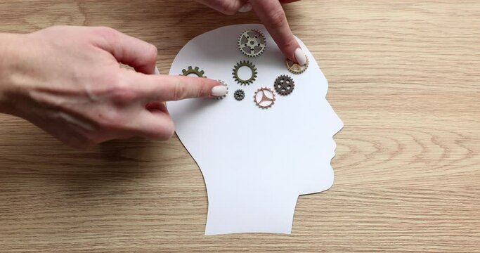 Hands move gears on a paper model of the head, a close-up. Cognitive functions, brainstorming slowmotion