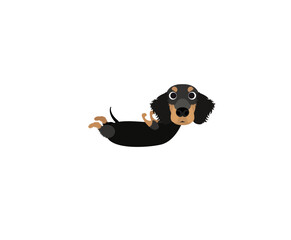 Yoga dachshund 18