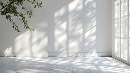 Empty room with tree branch shadows on wall from large window