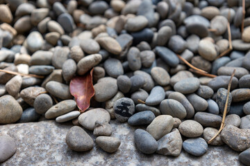 大阪／住吉大社の五所御前の五大力石（2024年4月9日撮影）