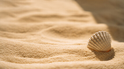 Fototapeta na wymiar Yellow clean sand with shell under sunlight.