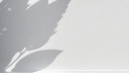 Mockup on a white wall with soft shadows from leaves