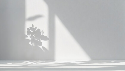 Abstract shadows mockup on white wall.