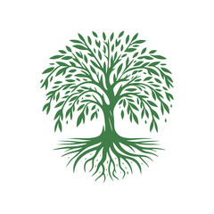 Root tree logo vector. Root of the tree vector logo symbol illustration design, oak tree vintage logo design