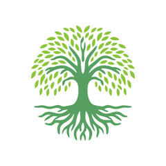 Root tree logo vector. Root of the tree vector logo symbol illustration design, oak tree vintage logo design © Dhika