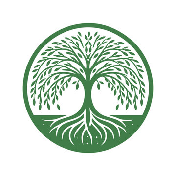 Root tree logo vector. Root of the tree vector logo symbol illustration design, oak tree vintage logo design
