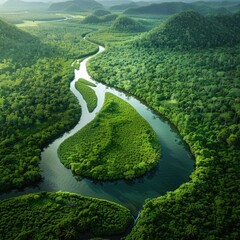 A river with a green forest on both sides