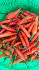 Piles of bird's eye chili or Thai chili in the green basket