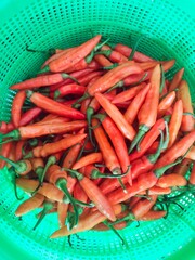 Piles of bird's eye chili or Thai chili in the green basket