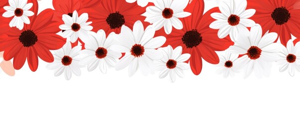 Red and white daisy pattern, hand draw, simple line, flower floral spring summer background design with copy space for text or photo backdrop 