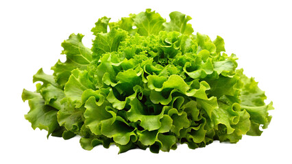 Fresh green lettuce salad isolated on transparent background. Healthy food concept.