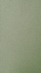 texture of the green paper.