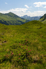 Naklejka na ściany i meble Typical alpine landscape in early summer near Damuls, Vorarlberg, Austria