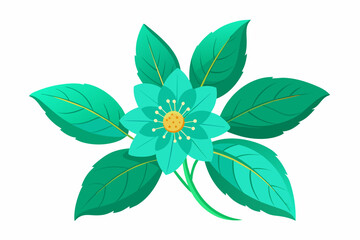Amarnath-wild-turquoise-flower vector illustration 