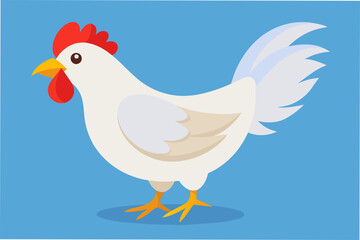 chicken vector illustration 