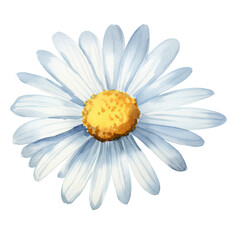 AI-generated watercolor blue Daisy flower clip art illustration. Isolated elements on a white background.