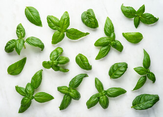 Basil leaves on white marble background top view