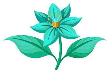 Amarnath wild Turquoise flower green leaves on white background