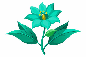 Amarnath wild Turquoise flower green leaves on white background