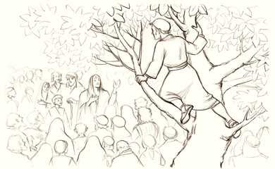 Zacchaeus. The man in the tree looks out into the crowd. Pencil drawing