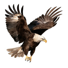 AI-generated watercolor flying Eagle clip art illustration. Isolated elements on a white background.