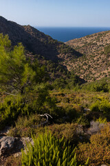 Halari gorge with wooded mountains, canyon and fantastic view to the Nas bay and Aegean sea	
