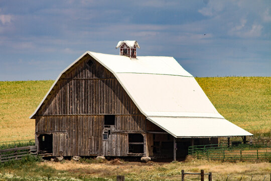 photo of classic old wood hay barn in a farm field on the palouse prairie of eastern washington