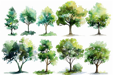 Watercolor set of green trees, various species, isolated on white, perfect for landscape and architectural renderings - obrazy, fototapety, plakaty