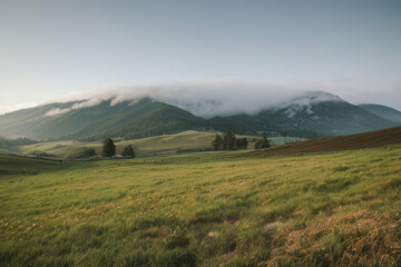A lush green meadow stretches towards rolling hills under a sky filled with fluffy clouds