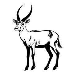 Antelope Logo Design