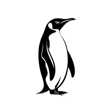 Antarctica Penguins Logo Design