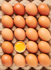 Two dozen eggs, one egg missing. The egg is yellow, the rest are white.