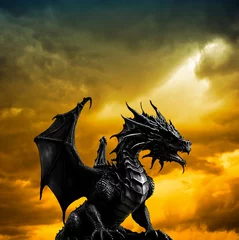 Foto op Aluminium dragon wit a fire sunset sky in background © Visualmind