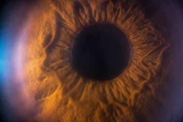 Brown human eye in macro